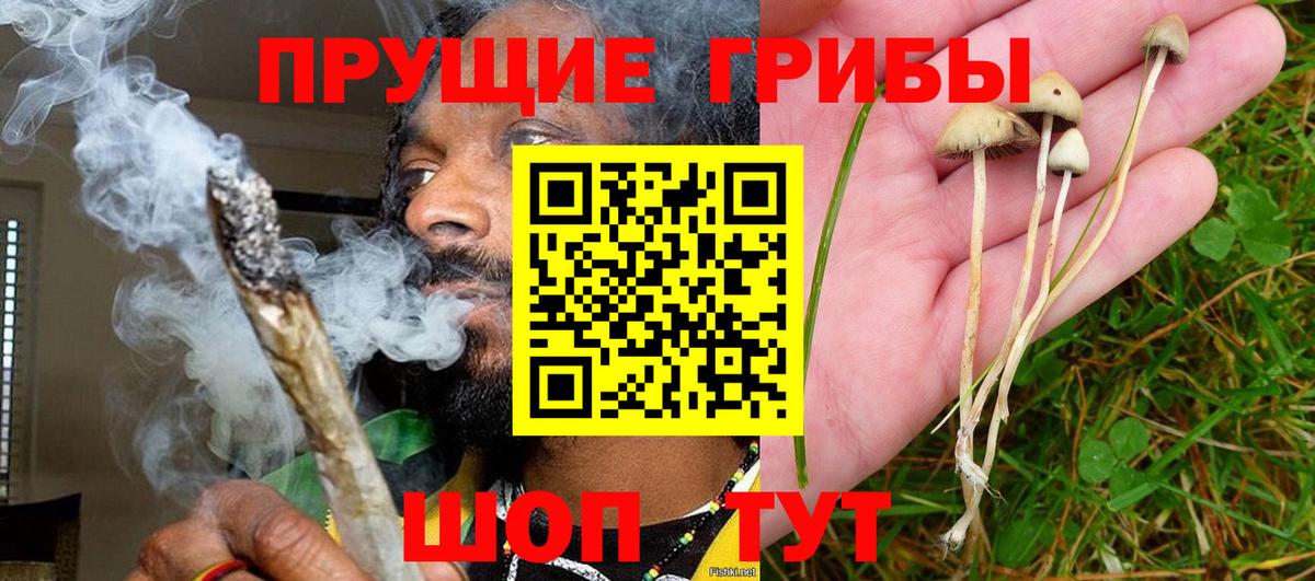 Галлюциногенные грибы Magic Shrooms Выборг