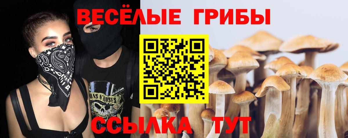 Псилоцибиновые грибы Cubensis  Псилоцибиновые грибы мицелий  Выборг  Вход с VPN 